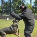 Military Working Dogs demonstrate capabilities