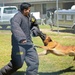 Military Working Dogs demonstrate capabilities