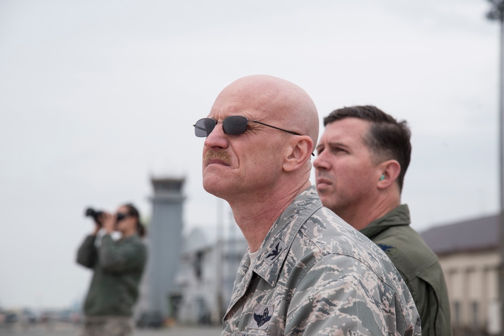 Full bird eagle eyes