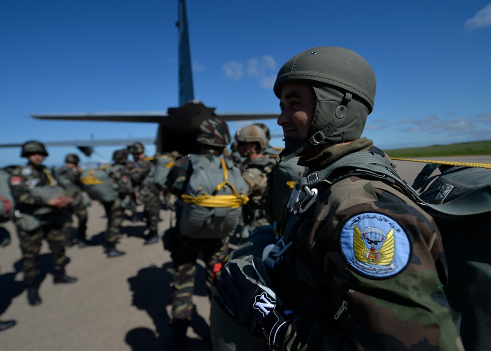 African Lion wraps up in Morocco