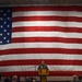USS Theodore Roosevelt (CVN 71) Deployment FY 2018