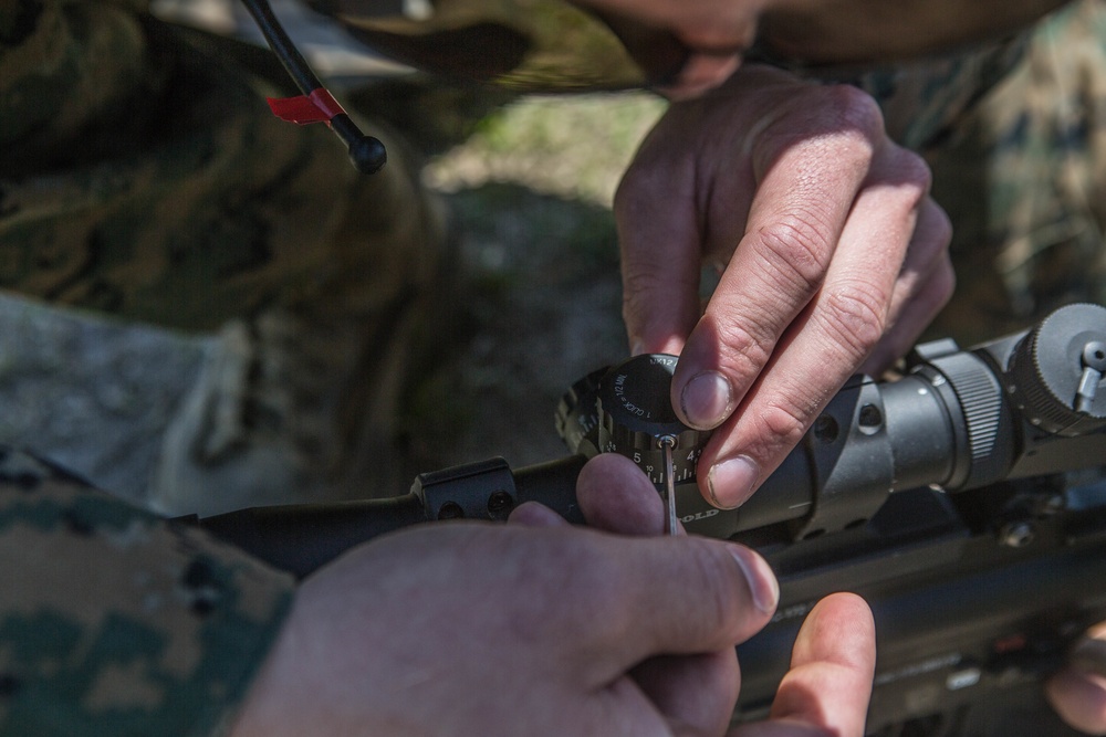 Out With The Old, In With The New: M38 Squad Designated Marksmanship Rifle