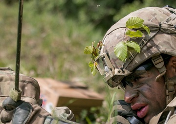1-63 AR Cavalry Scouts Recon A Road During Combined Resolve X