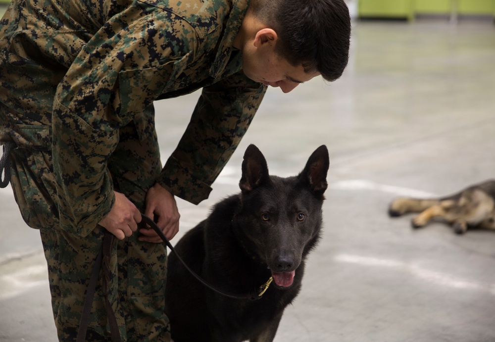 Rear Admiral Bolivar recognizes Military Working Dogs and Handlers