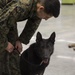 Rear Admiral Bolivar recognizes Military Working Dogs and Handlers