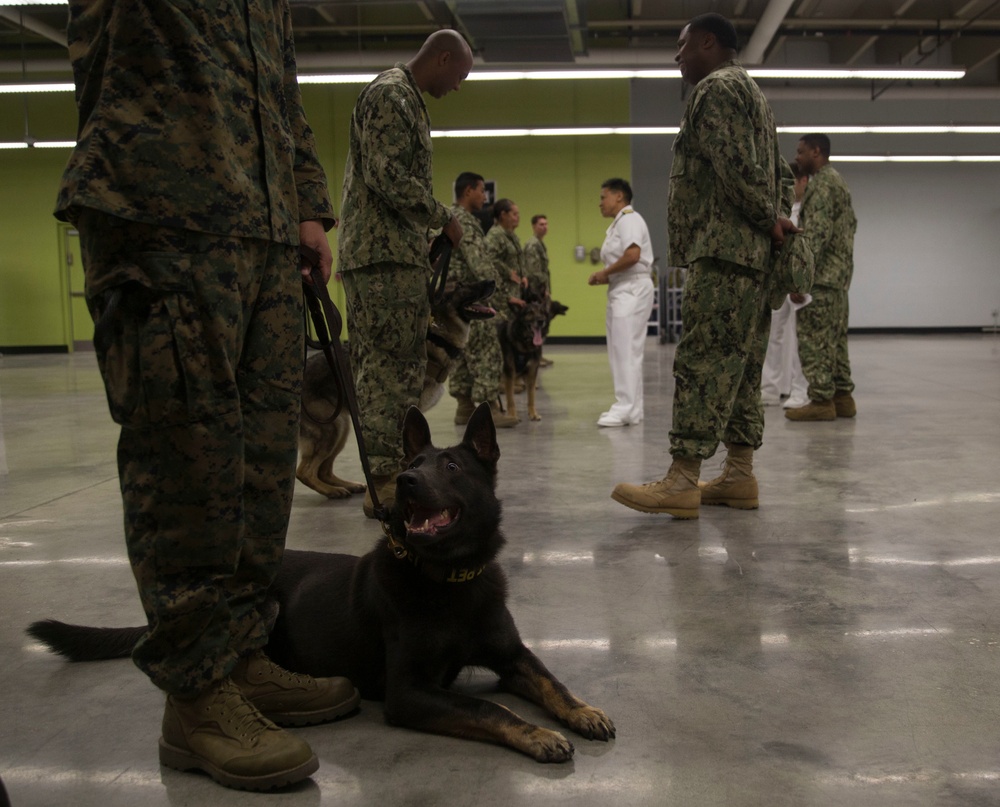 Rear Admiral Bolivar recognizes Military Working Dogs and Handlers