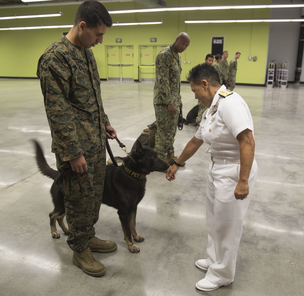 Rear Admiral Bolivar recognizes Military Working Dogs and Handlers