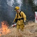 Prescribed Burns:  JBER Fire Prevention