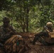 Infantry squad leaders train in the jungles of Hawaii
