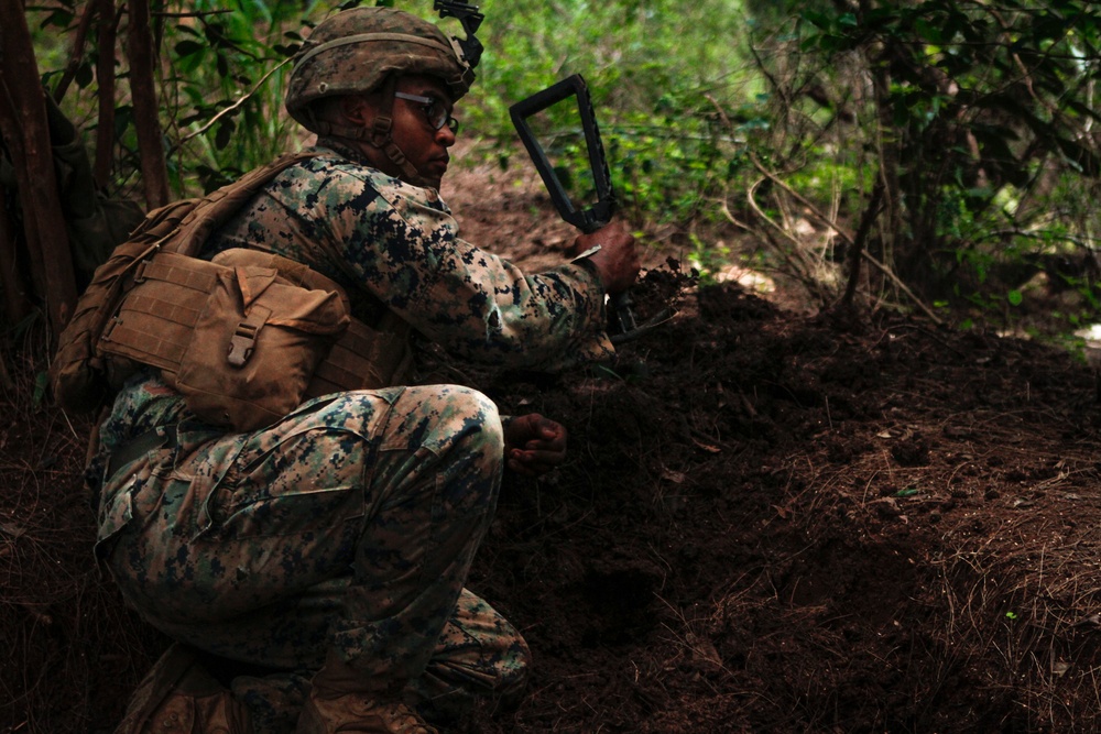 DVIDS - Images - Infantry squad leaders train in the jungles of Hawaii ...