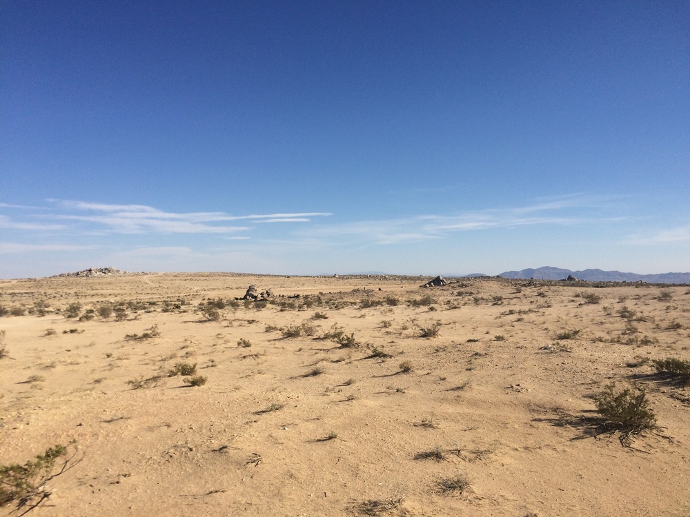 The Mojave, National Training Center