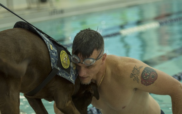 Navy Wounded Warrior Safe Harbor