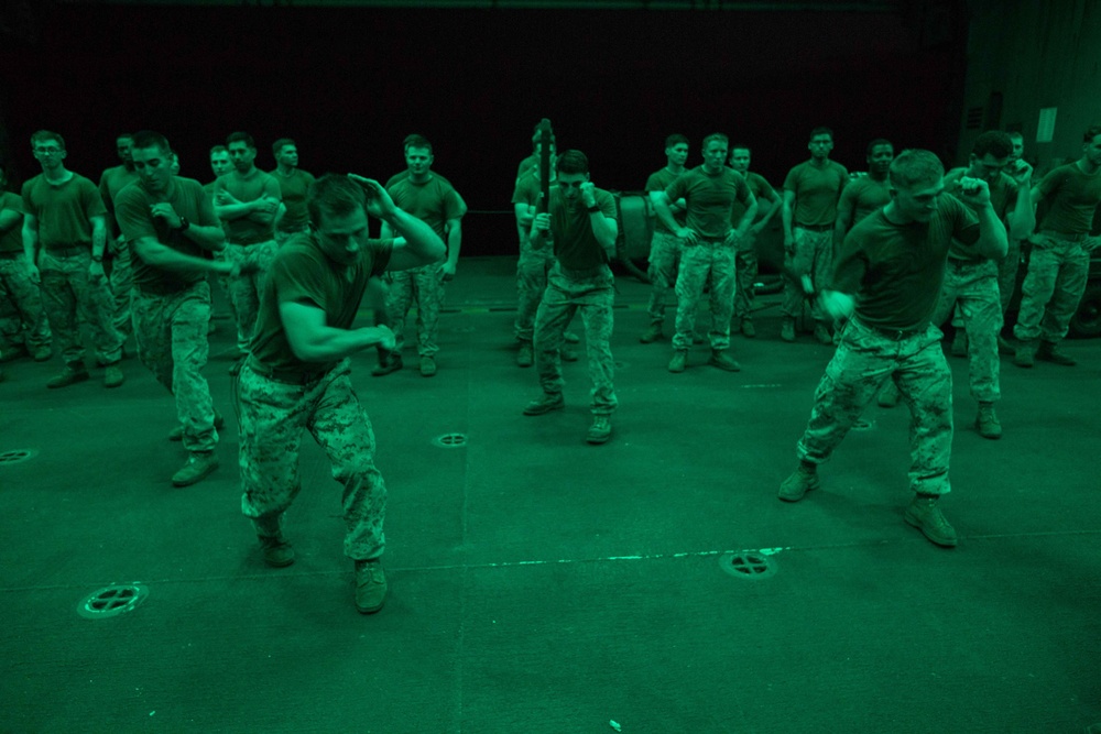 Stop Resisting! BLT 2/6 participates in non-lethal techniques course