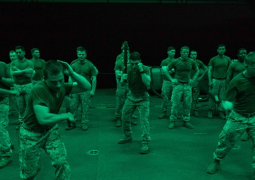 Stop Resisting! BLT 2/6 participates in non-lethal techniques course