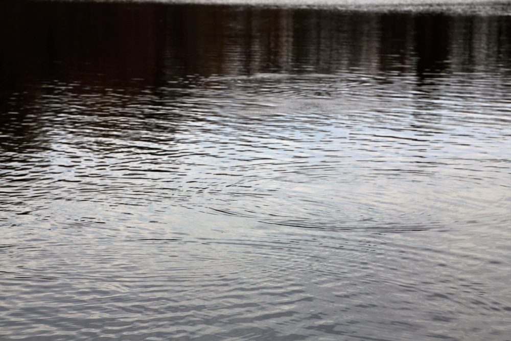 U.S. Fish and Wildlife Service personnel stock trout at Fort McCoy lakes