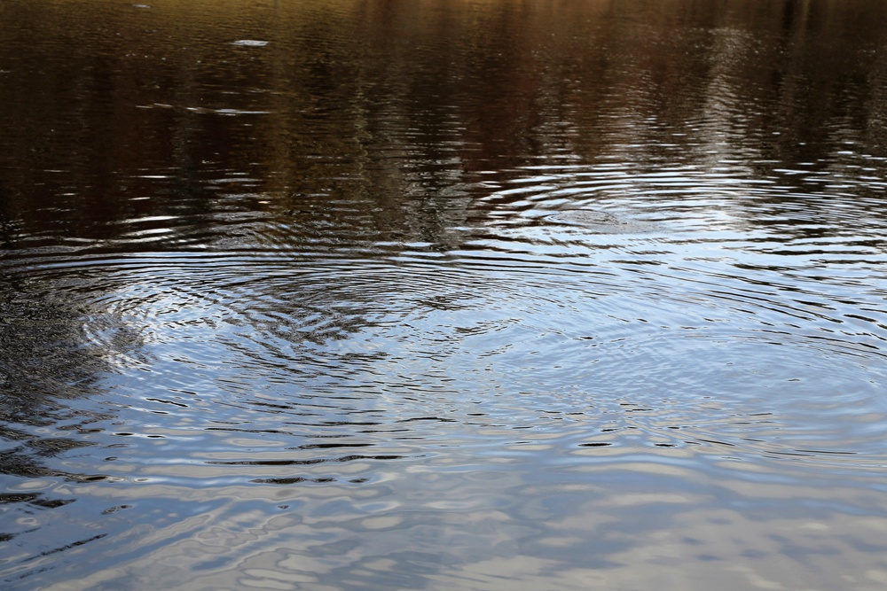 U.S. Fish and Wildlife Service personnel stock trout at Fort McCoy lakes