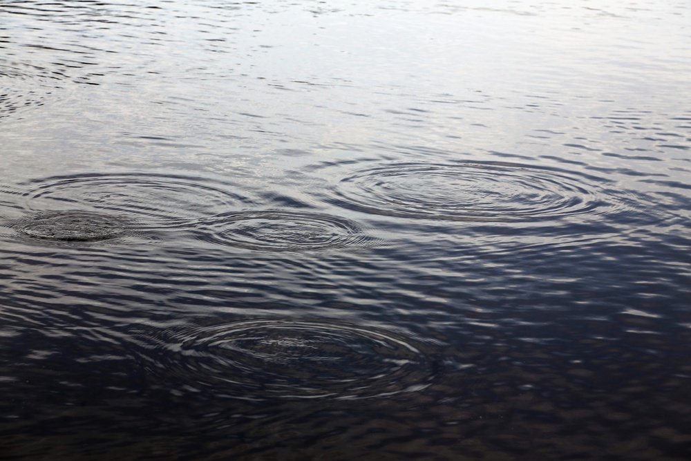 U.S. Fish and Wildlife Service personnel stock trout at Fort McCoy lakes