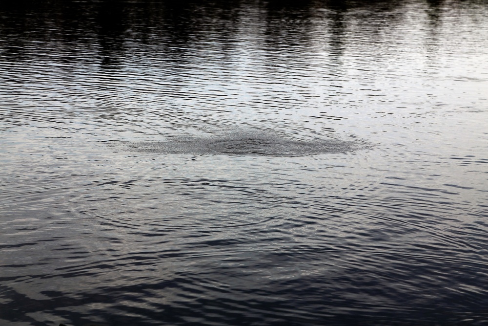 U.S. Fish and Wildlife Service personnel stock trout at Fort McCoy lakes