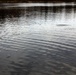 U.S. Fish and Wildlife Service personnel stock trout at Fort McCoy lakes