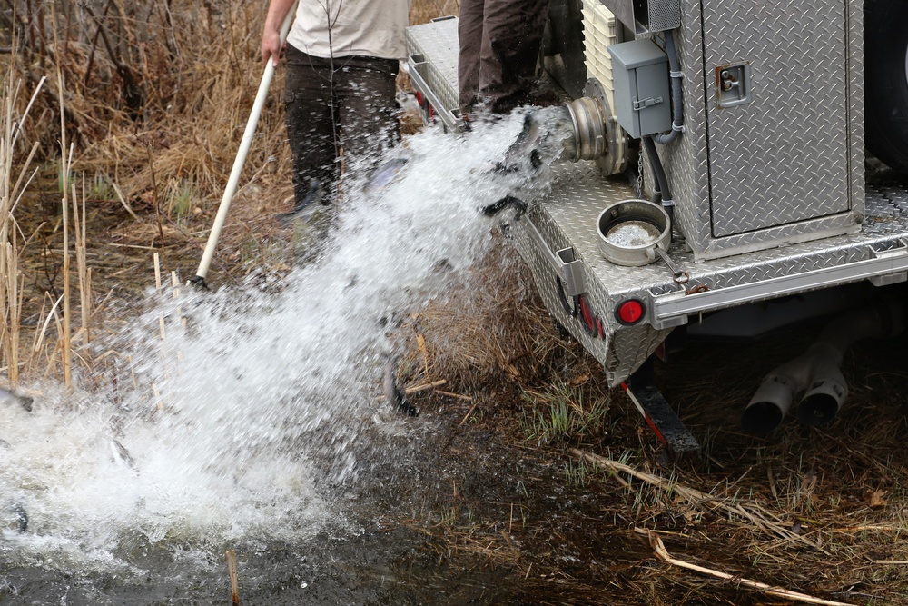 U.S. Fish and Wildlife Service personnel stock trout at Fort McCoy lakes