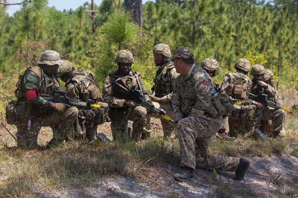 Bermuda troops train at Camp Lejeune to become Junior Noncommissioned Officers