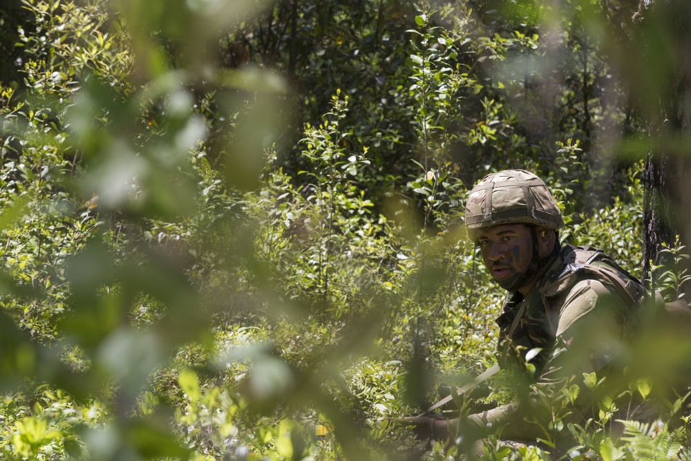 Bermuda troops train at Camp Lejeune to become Junior Noncommissioned Officers