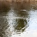 U.S. Fish and Wildlife Service personnel stock trout at Fort McCoy lakes