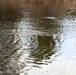 U.S. Fish and Wildlife Service personnel stock trout at Fort McCoy lakes