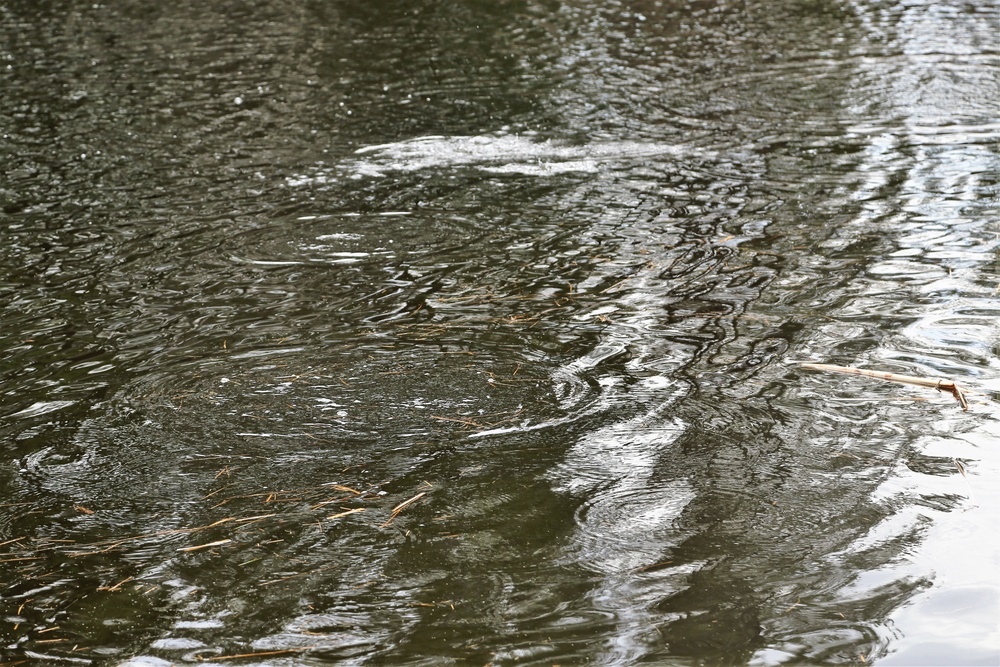 U.S. Fish and Wildlife Service personnel stock trout at Fort McCoy lakes