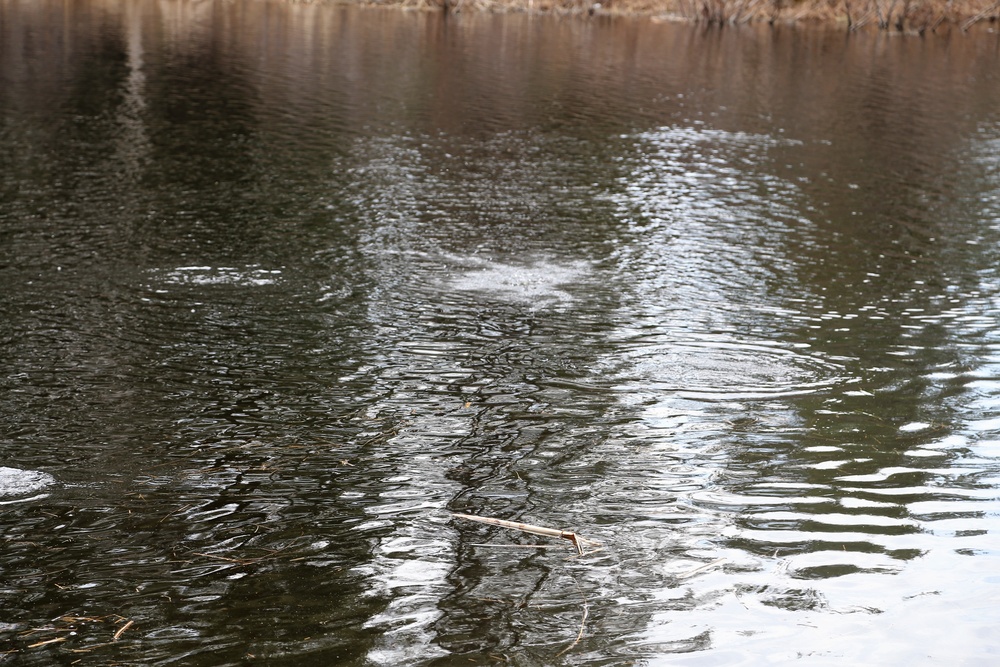 U.S. Fish and Wildlife Service personnel stock trout at Fort McCoy lakes