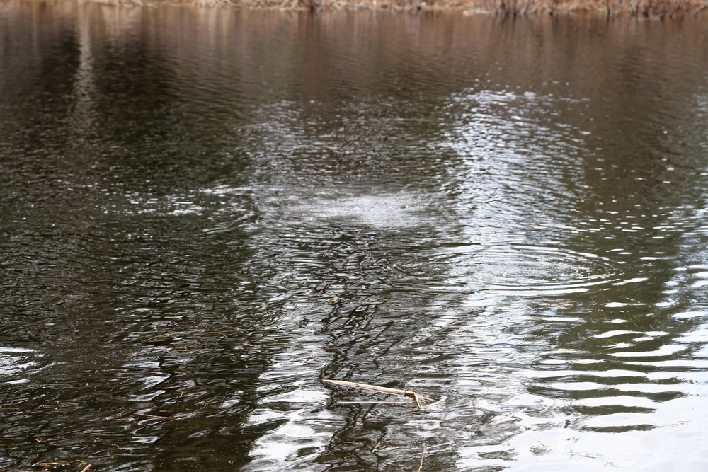 U.S. Fish and Wildlife Service personnel stock trout at Fort McCoy lakes