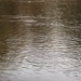 U.S. Fish and Wildlife Service personnel stock trout at Fort McCoy lakes