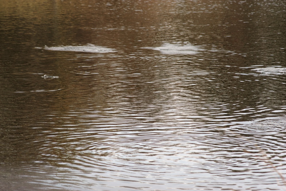 U.S. Fish and Wildlife Service personnel stock trout at Fort McCoy lakes