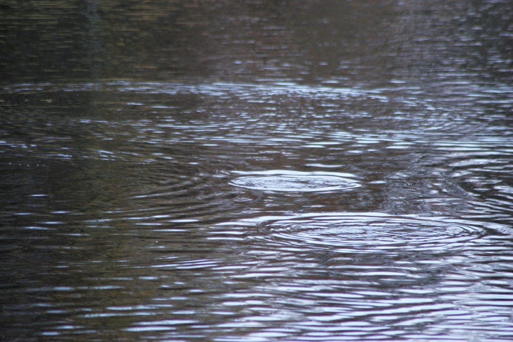 U.S. Fish and Wildlife Service personnel stock trout at Fort McCoy lakes
