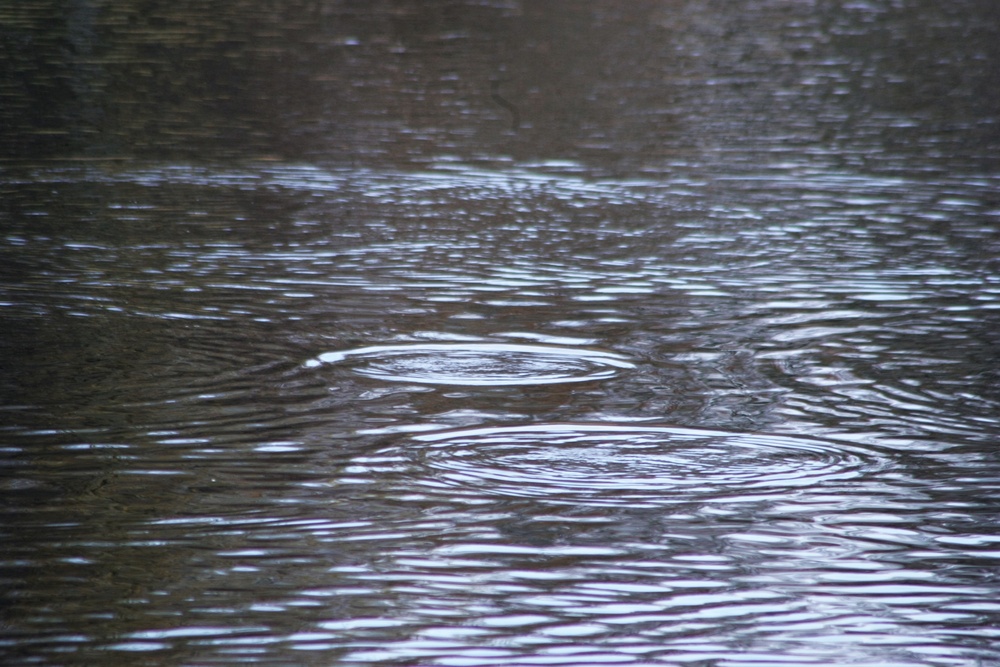 U.S. Fish and Wildlife Service personnel stock trout at Fort McCoy lakes