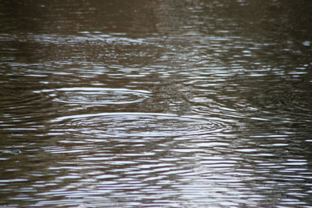 U.S. Fish and Wildlife Service personnel stock trout at Fort McCoy lakes