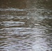 U.S. Fish and Wildlife Service personnel stock trout at Fort McCoy lakes