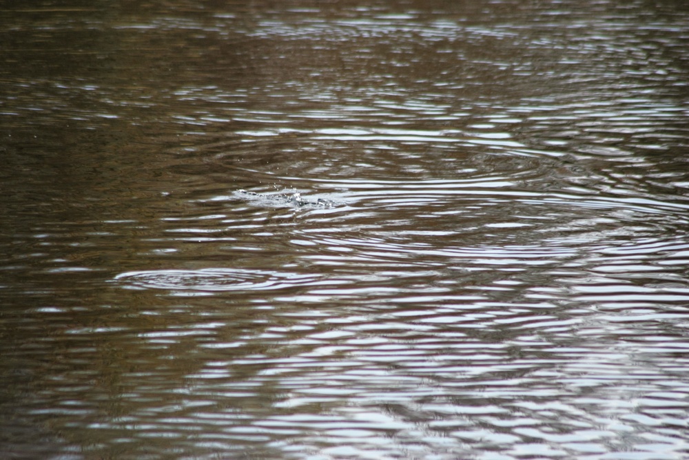 U.S. Fish and Wildlife Service personnel stock trout at Fort McCoy lakes
