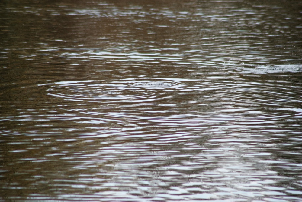 U.S. Fish and Wildlife Service personnel stock trout at Fort McCoy lakes