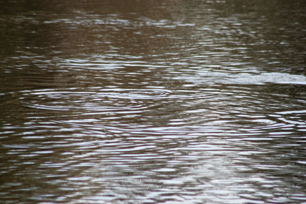 U.S. Fish and Wildlife Service personnel stock trout at Fort McCoy lakes