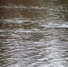 U.S. Fish and Wildlife Service personnel stock trout at Fort McCoy lakes