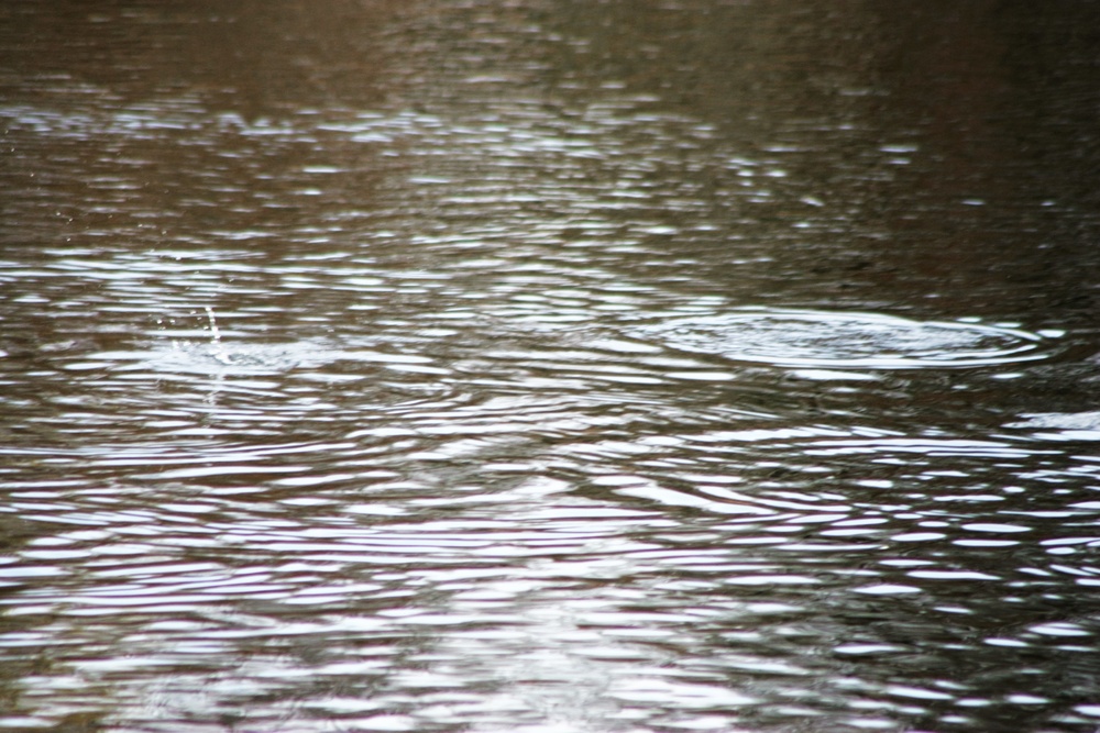 U.S. Fish and Wildlife Service personnel stock trout at Fort McCoy lakes