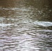 U.S. Fish and Wildlife Service personnel stock trout at Fort McCoy lakes