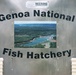 U.S. Fish and Wildlife Service personnel stock trout at Fort McCoy lakes