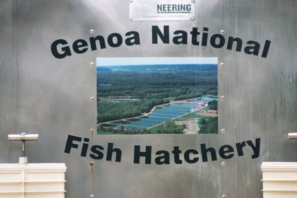 U.S. Fish and Wildlife Service personnel stock trout at Fort McCoy lakes