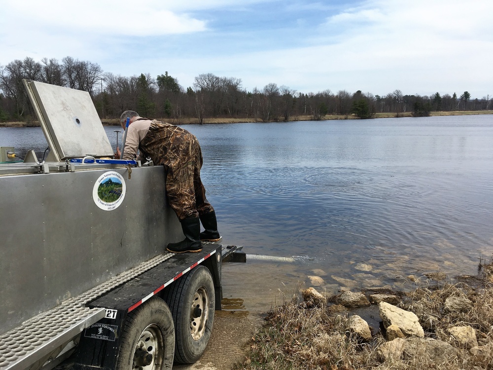 U.S. Fish and Wildlife Service personnel stock trout at Fort McCoy lakes