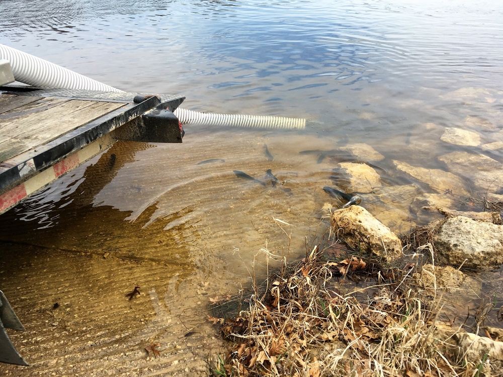 U.S. Fish and Wildlife Service personnel stock trout at Fort McCoy lakes