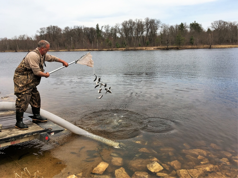 U.S. Fish and Wildlife Service personnel stock trout at Fort McCoy lakes