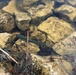 U.S. Fish and Wildlife Service personnel stock trout at Fort McCoy lakes