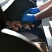 132d Wing BBQ Competition